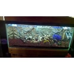 solid wood cabinet and fish tank