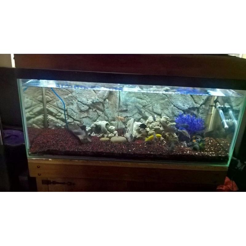 solid wood cabinet and fish tank
