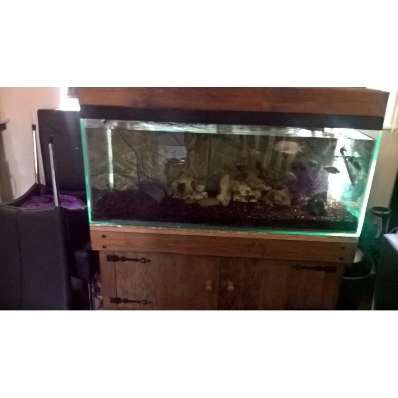 solid wood cabinet and fish tank
