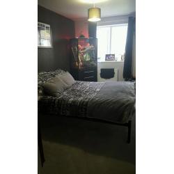 2 bed flat canvey island