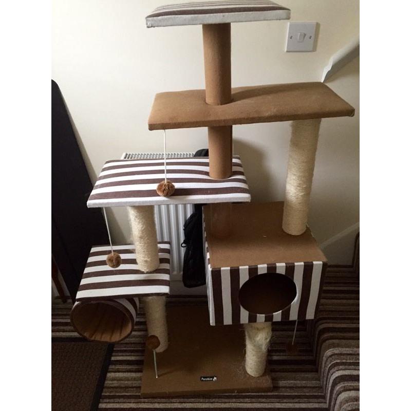 Free - cat activity centre