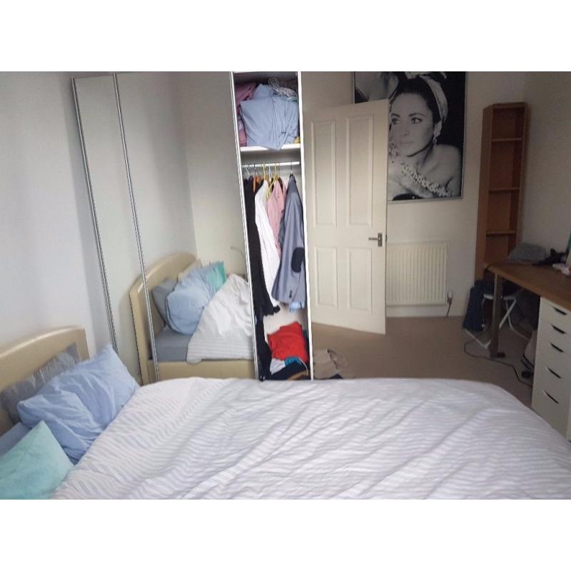 Spacious double bedroom in quiet flat for Edinburgh Festival.