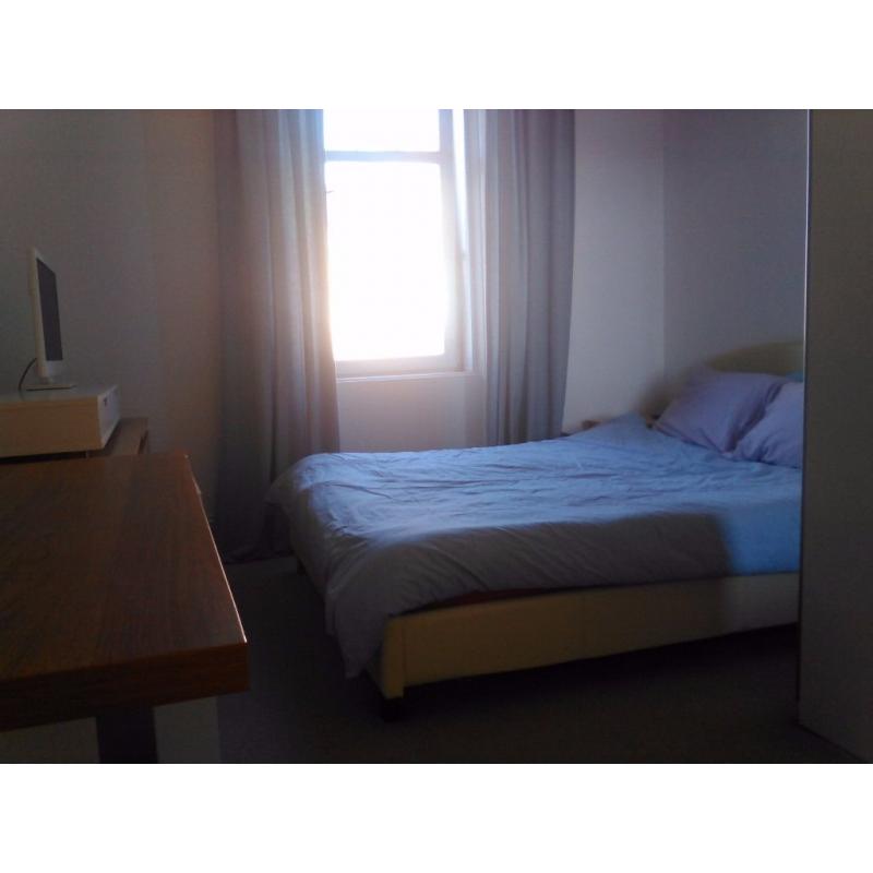 Spacious double bedroom in quiet flat for Edinburgh Festival.