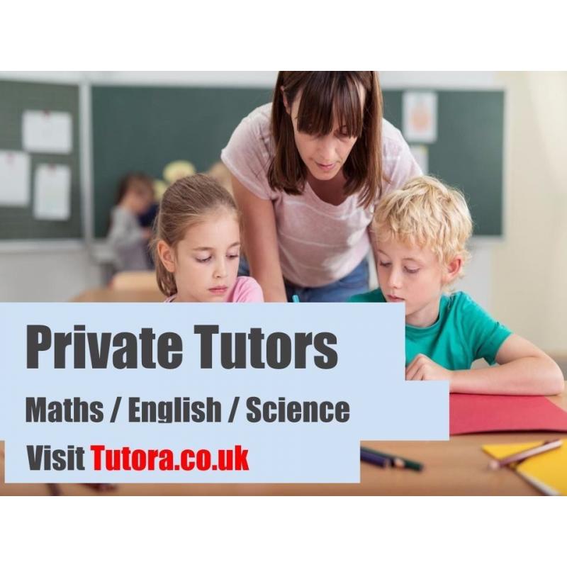 Expert Tutors in Bristol - Maths/Science/English/Physics/Biology/Chemistry/GCSE /A-Level/Primary