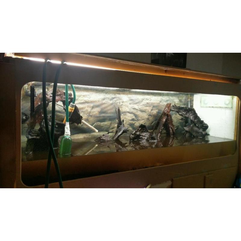 6ft x 2ft x 2ft Fish Tank