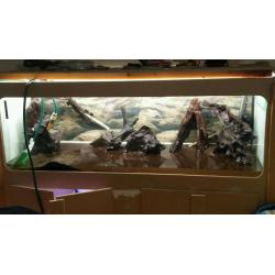 6ft x 2ft x 2ft Fish Tank