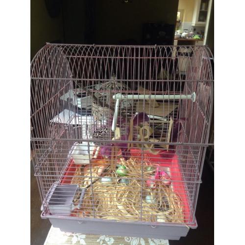 I need to BORROW a BIRD for my wedding (I will pay)