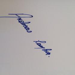 Fountain pens of the world book
