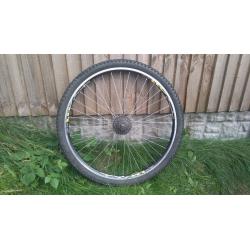 29" Mountain bike rear wheel