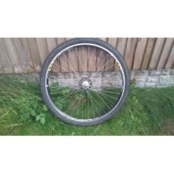 29" Mountain bike rear wheel