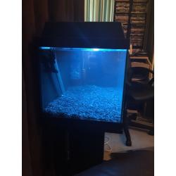 Juwel fish tank and stand
