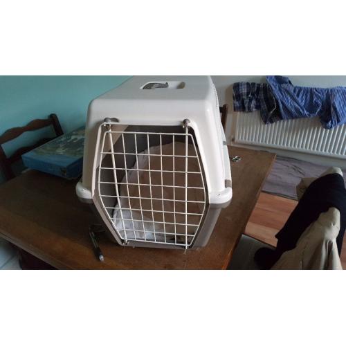 Large cat/small dog basket for sale