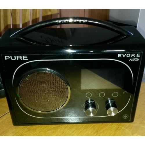 Pure Evoke Flow DAB radio