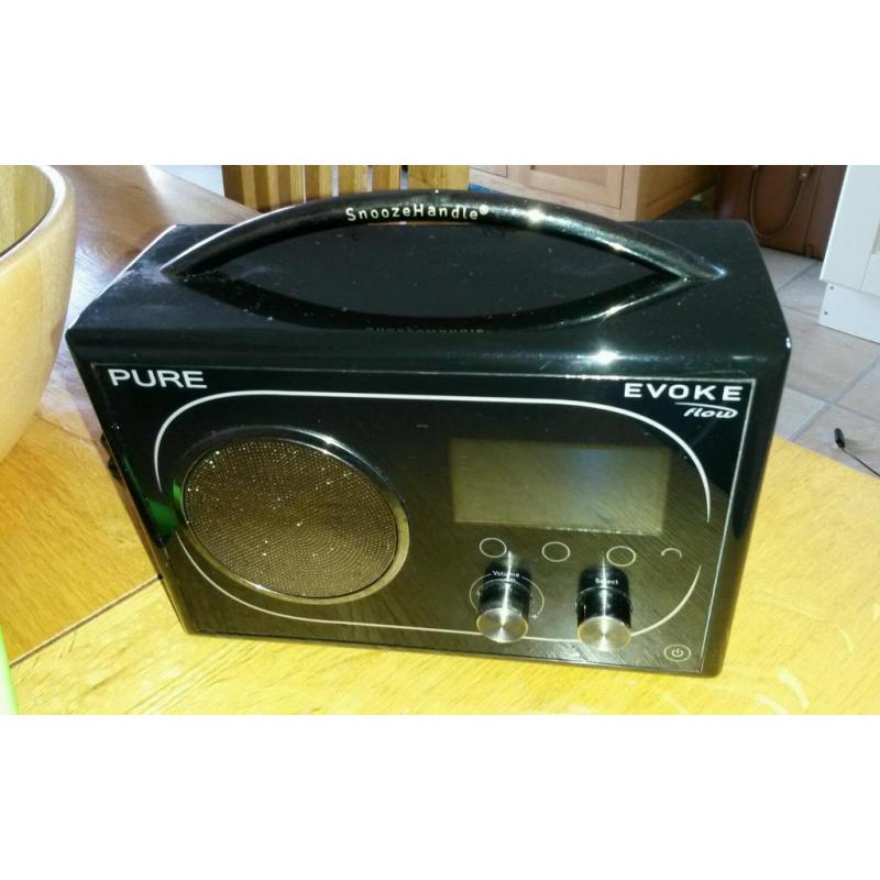Pure Evoke Flow DAB radio