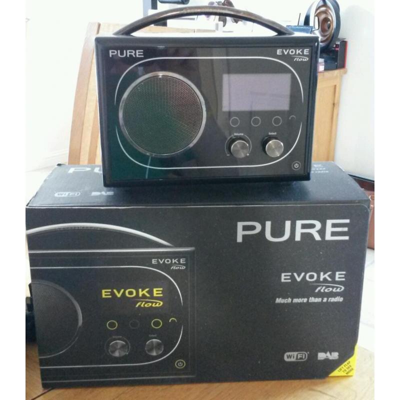 Pure Evoke Flow DAB radio