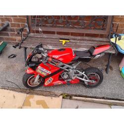 Liquid cooled mini motos