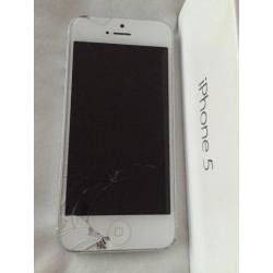 iPhone 5 16GB (unlocked)