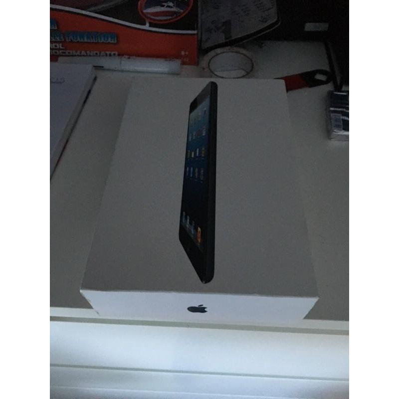 iPad mini 16g wifi in black