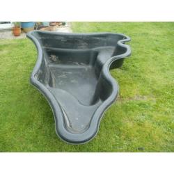 fish pond