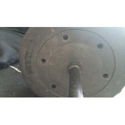 lots of weight bars and weight plates
