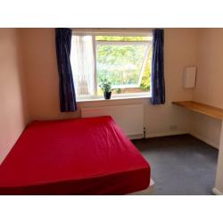 Spacious Double Room Available in Clean House Near Osterley Tube Station