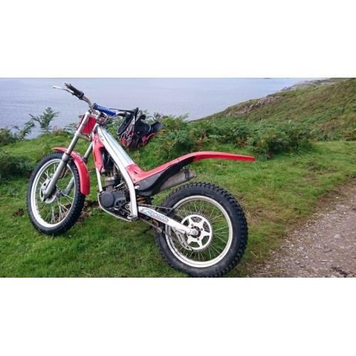Gas gas rookie txt 80