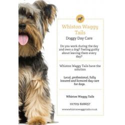 Doggy Daycare and Home Boarding Services - Rotherham