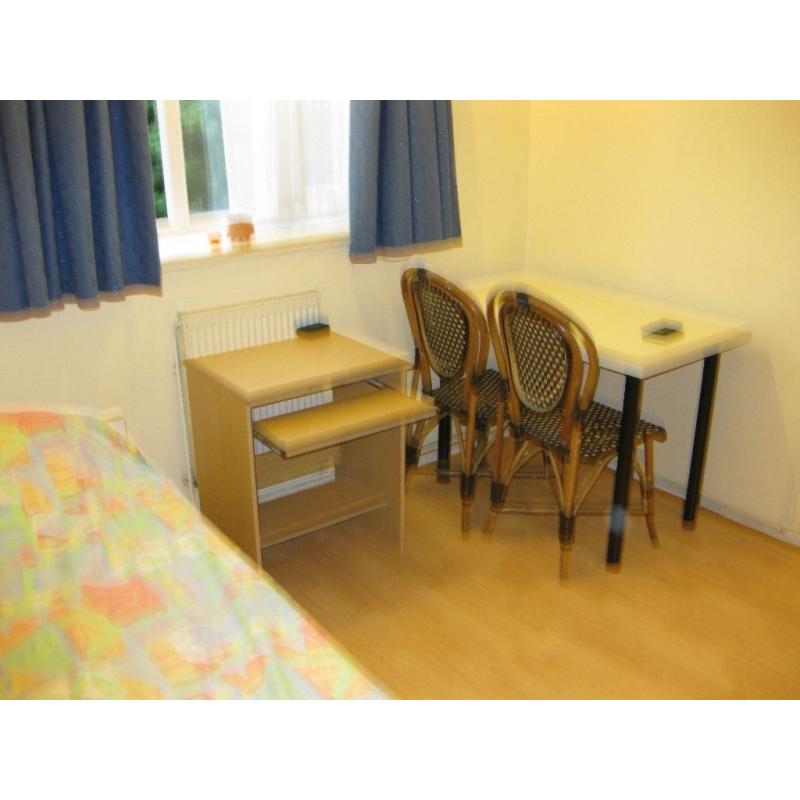 Lovely Single Room