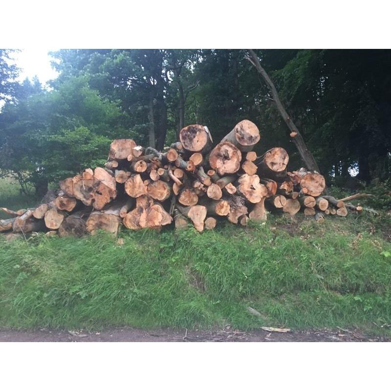 24 tonne loads of Hardwood Firewood