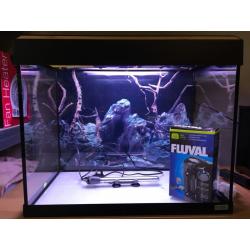 Fish tank for sale