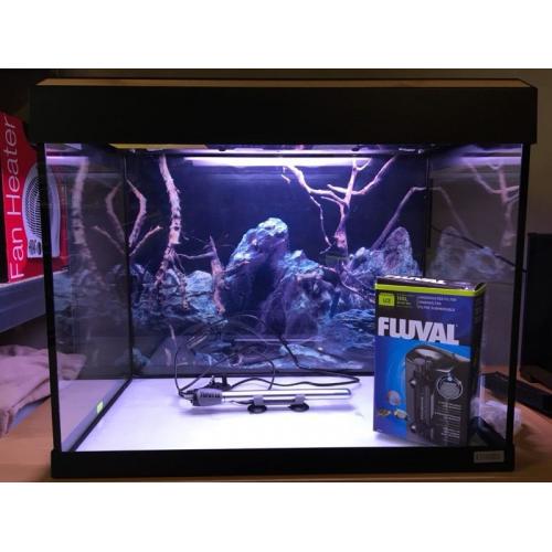Fish tank for sale