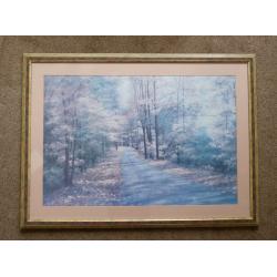 Large Forest Walk Print - Framed and with Glass