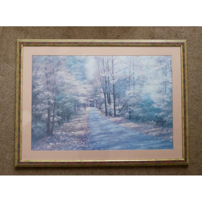Large Forest Walk Print - Framed and with Glass