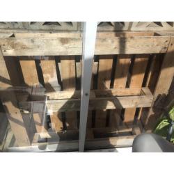 Pallet - free!!