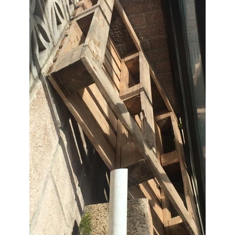 Pallet - free!!