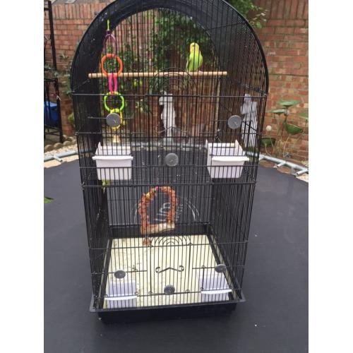 Bird Cage