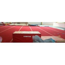 Gymnastics floor