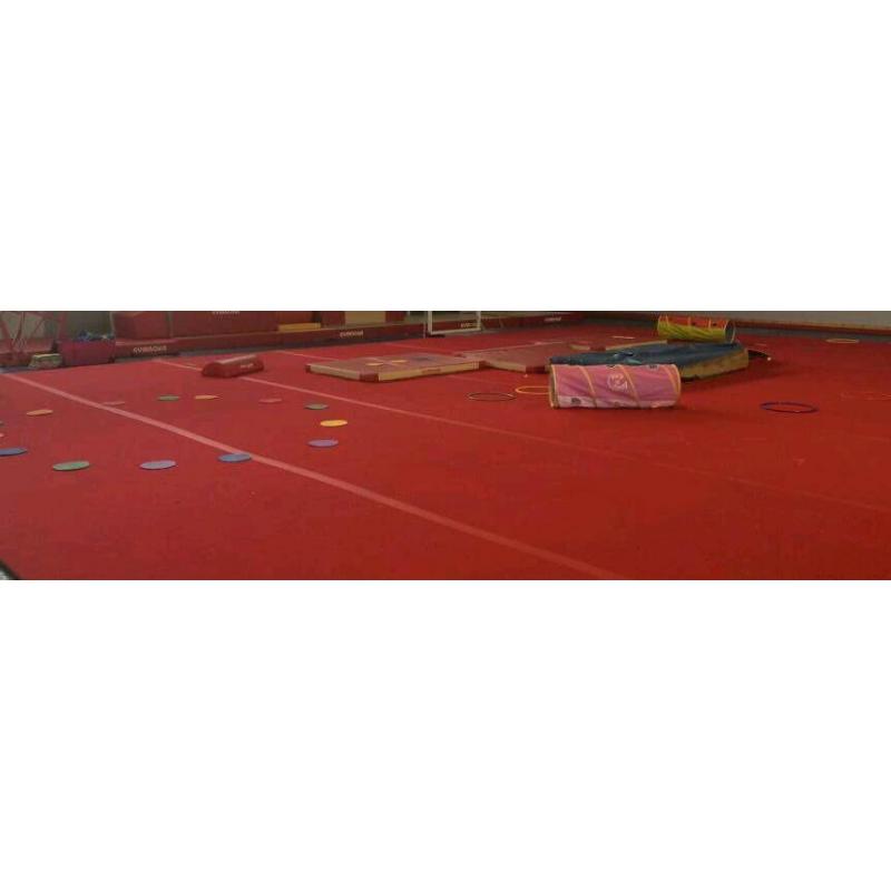 Gymnastics floor