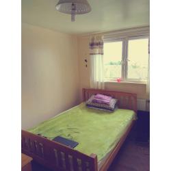 Single room for long-term rent