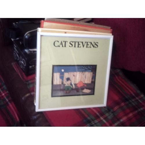 Framed vinyl record..33rpm..Cat Stevens..Teaser and the Firecat....white frame..