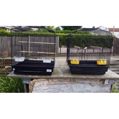 Budgie Cages