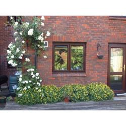 Double Room with access to Garden to let
