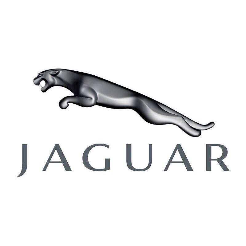 Breaking Jaguar X Type All Parts