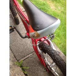 Giant Animator 16" Bike.