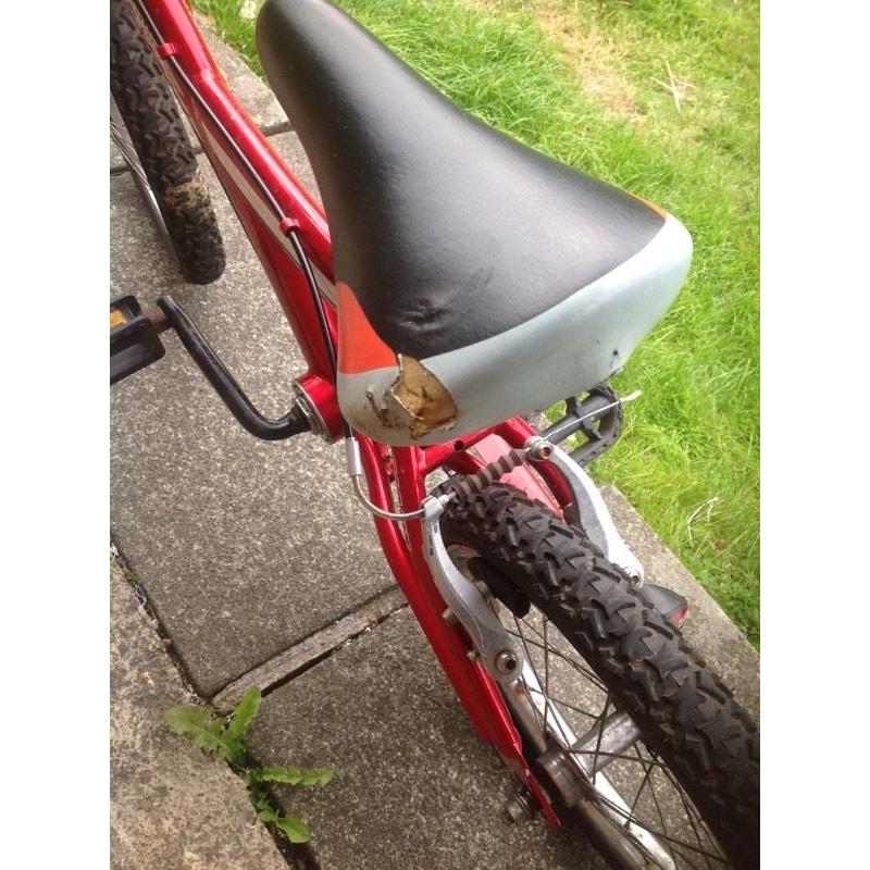 Giant Animator 16" Bike.