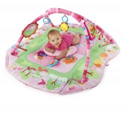 Bright Starts 5 in 1 play gym