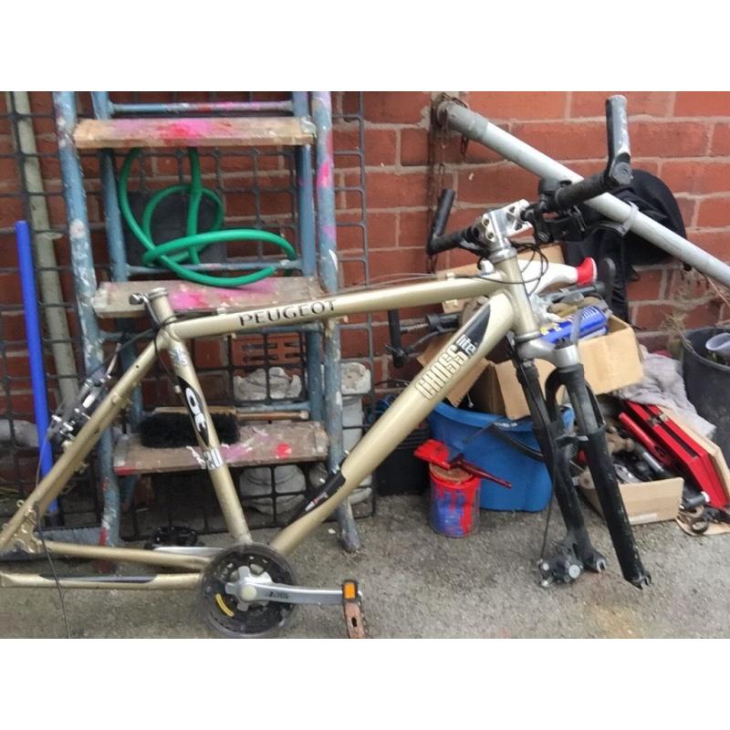Peugeot frame
