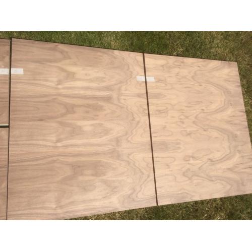 Walnut Doors (Pair plus additional panels)