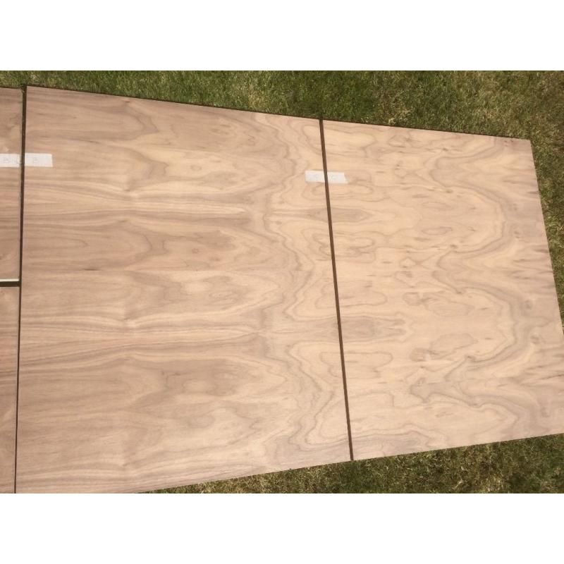 Walnut Doors (Pair plus additional panels)