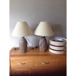 Two lamps & ceiling shade